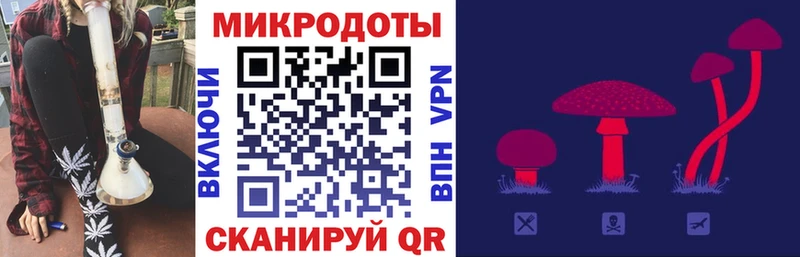 Галлюциногенные грибы GOLDEN TEACHER  закладка  Кирсанов 